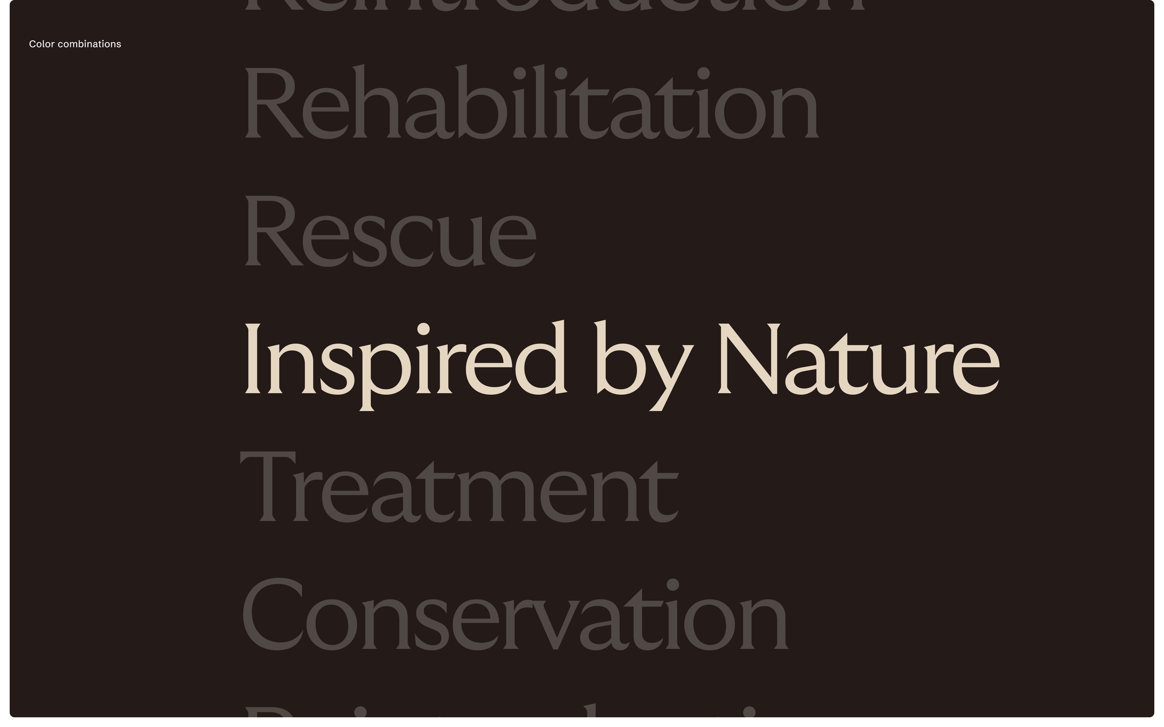 Vantara web design icon system with simplified rounded shapes by Clay