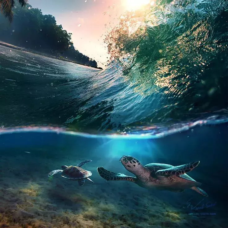 Daily Inspiration #1886