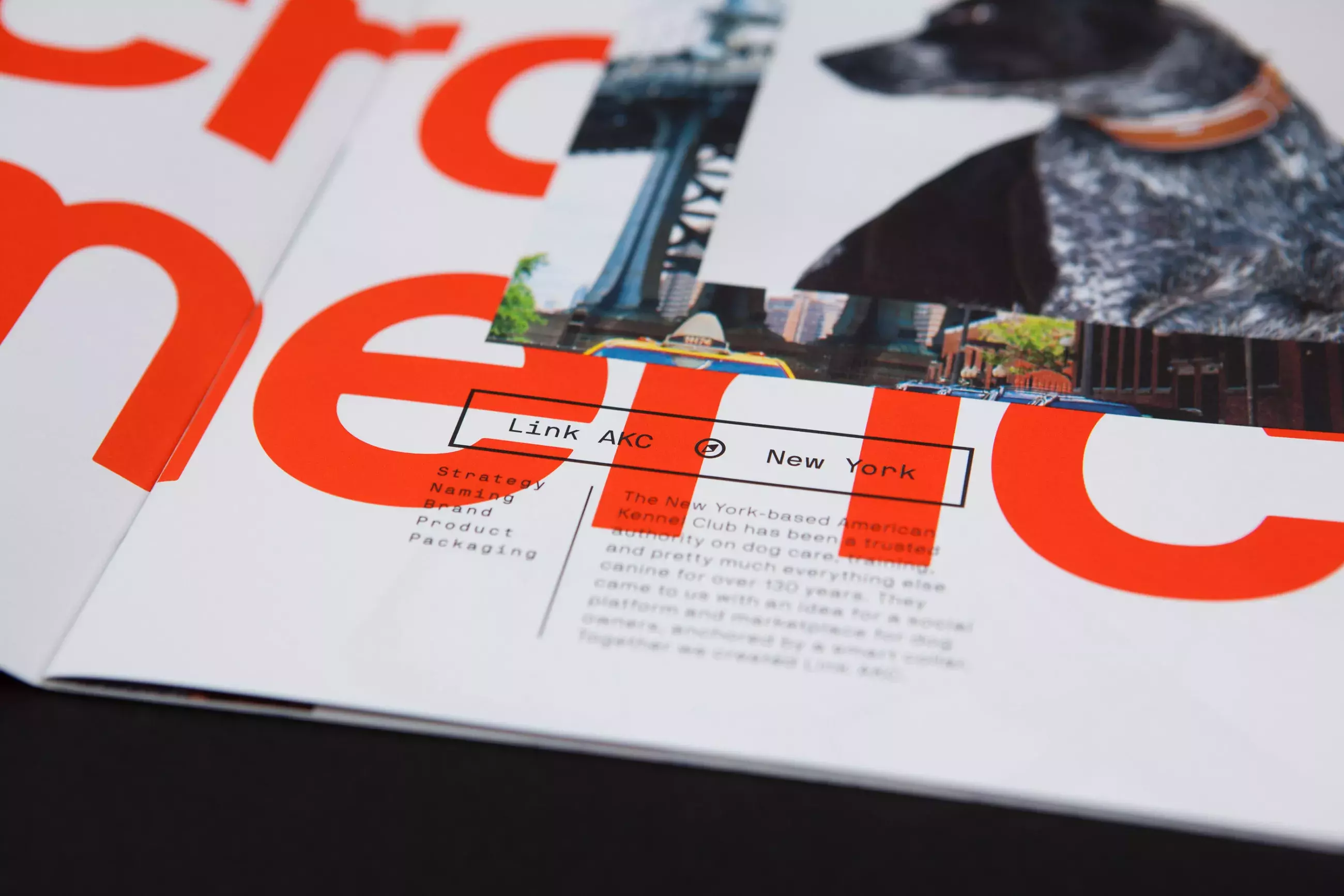 That 90s Look is Coming Back - Design Across America Brochure