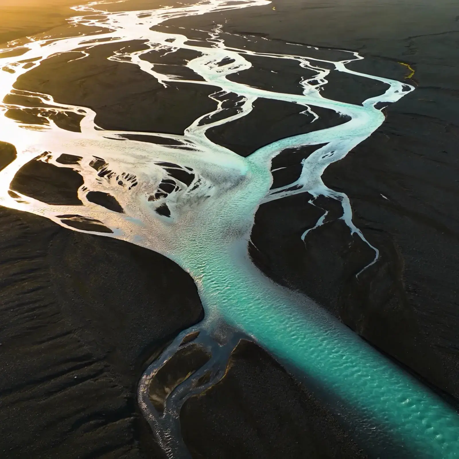 Seedream 5.0 by ByteDance — AI image generation with photographic knowledge and example-based editing