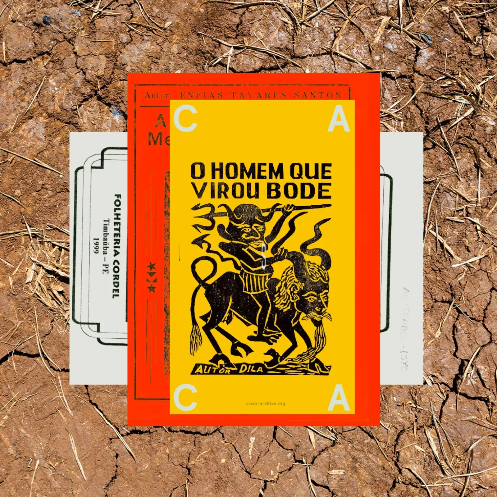 Preserving and Reimagining the Visual Culture of Northeast Brazil