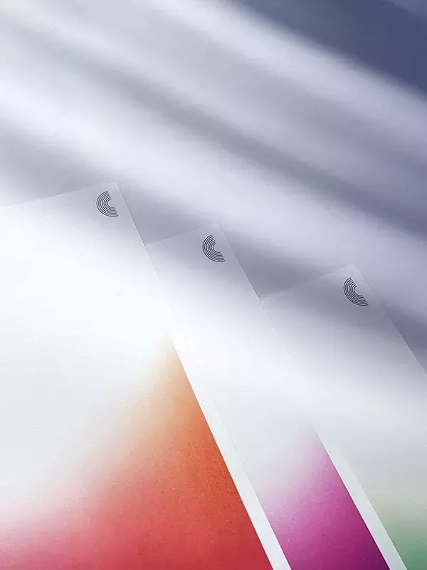 Curitiba Coral Branding and VIsual Identity