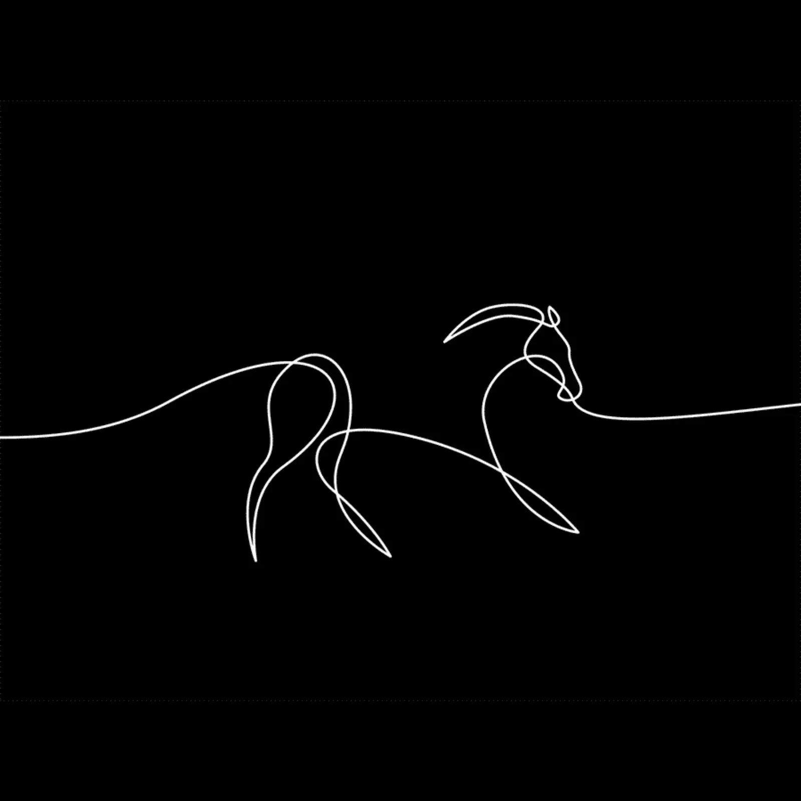 Wildlife in Motion: One-Line Motion Design