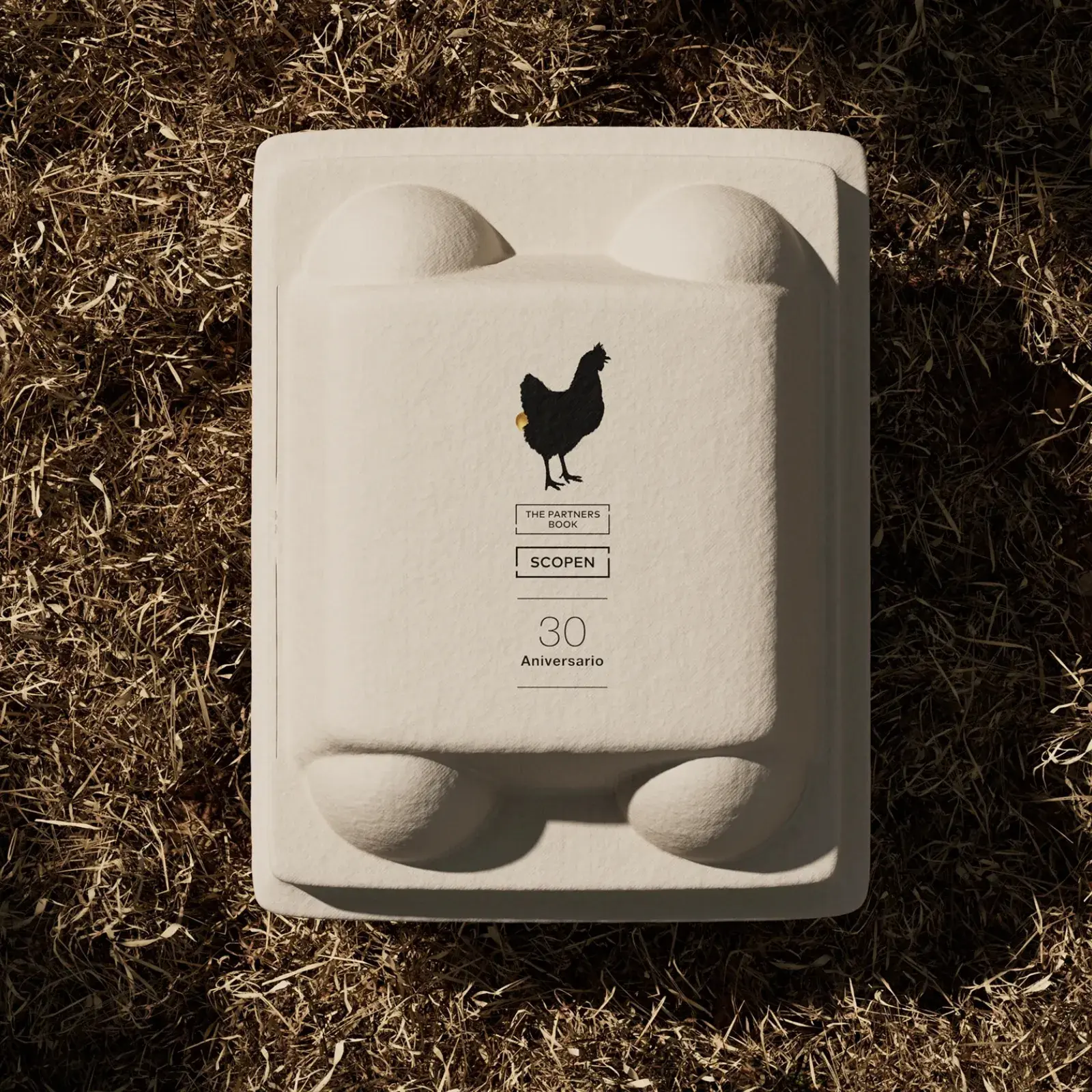 SCOPEN's 30th Anniversary: Editorial Design for a Golden Idea