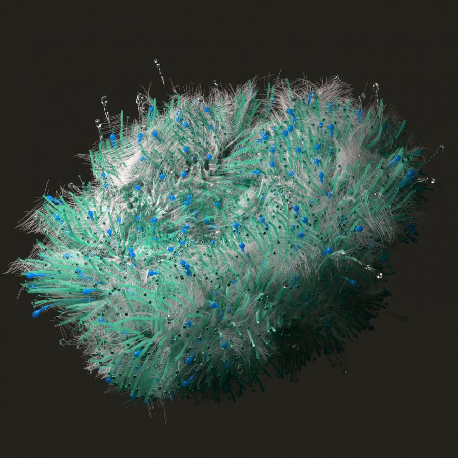 3D Organic Experiments in Houdini