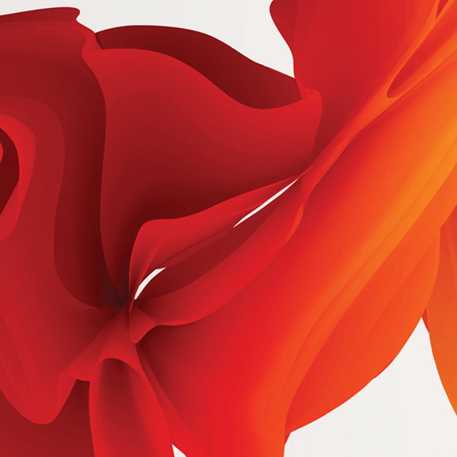 Elegant Waves of Light by Maria Grønlund