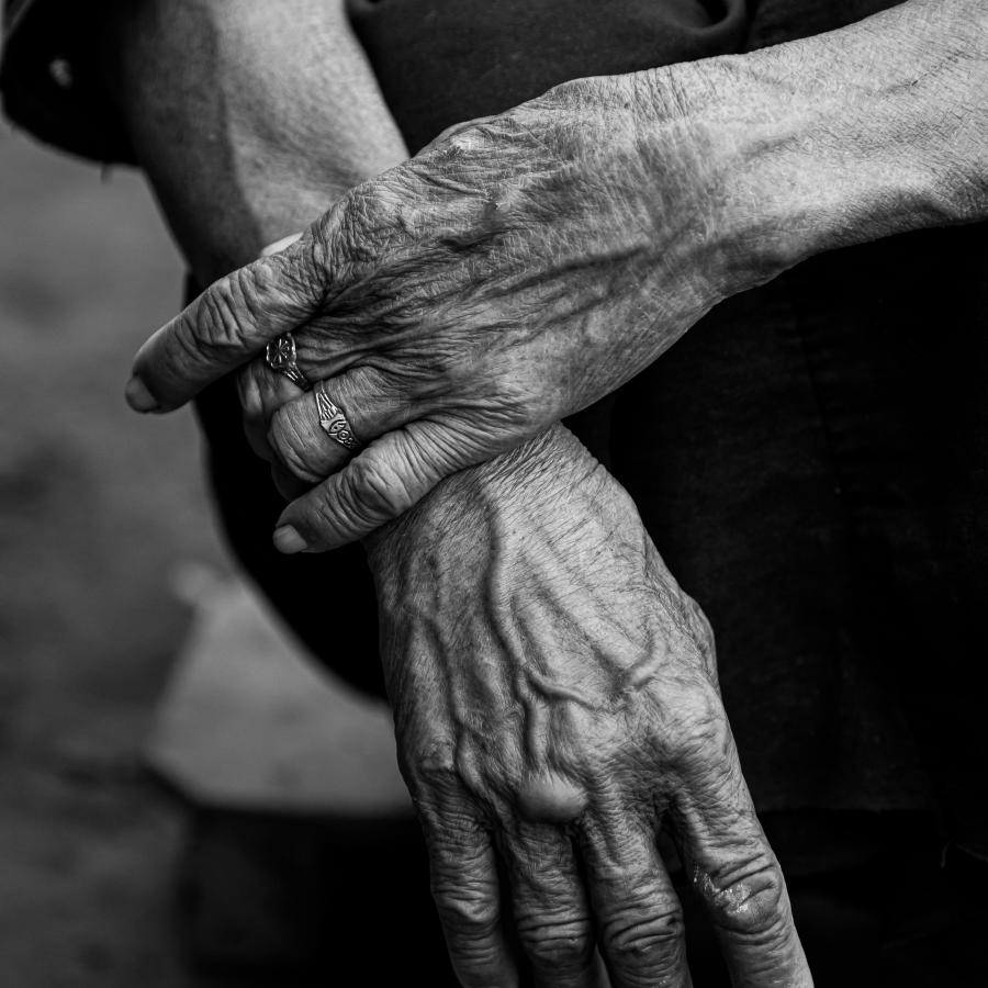 Lightroom and Adobe XD Release Significant Updates