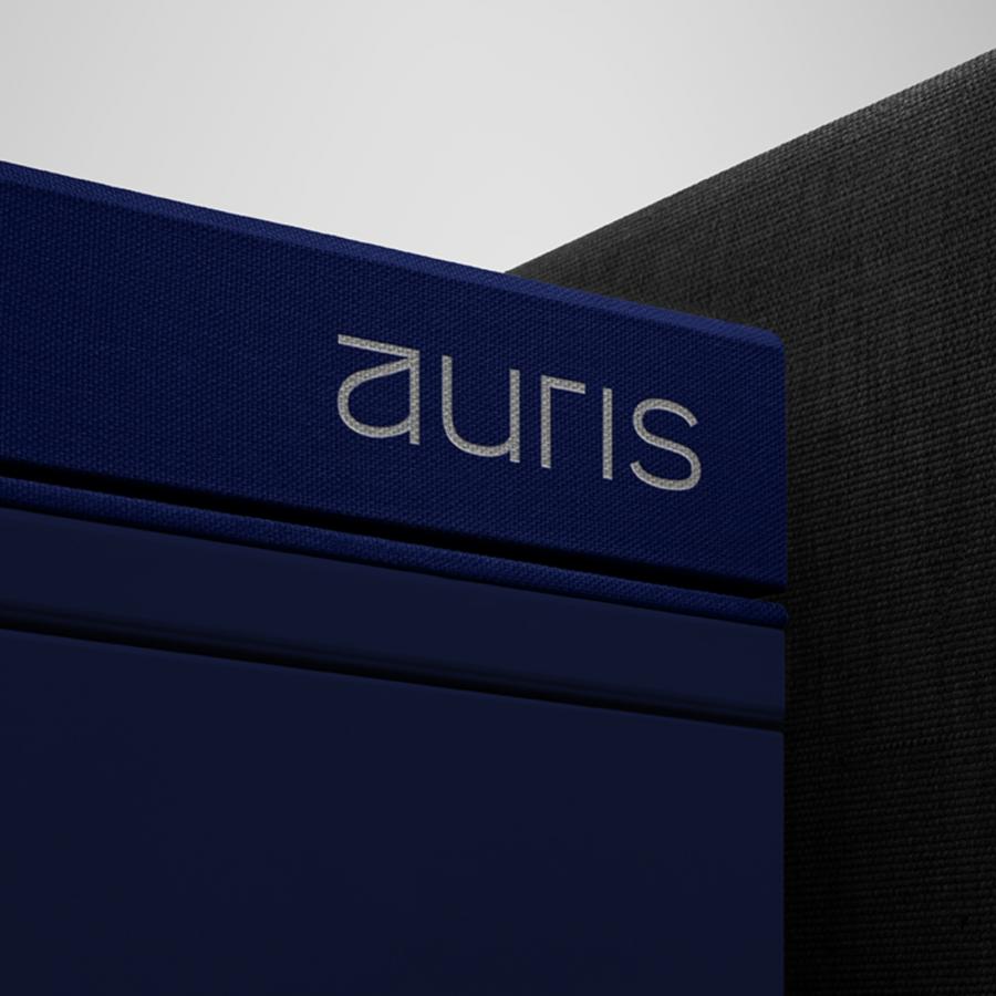 Visual Identity: Auris Engenharia's Modern Brand