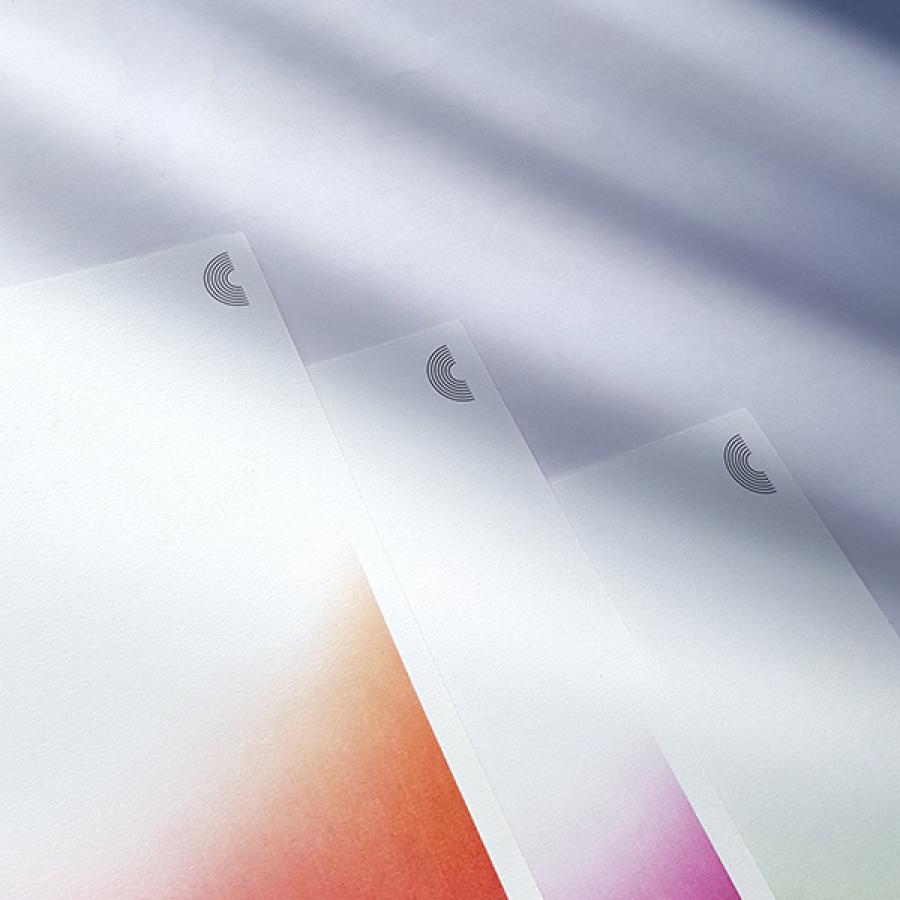 Curitiba Coral Branding and VIsual Identity