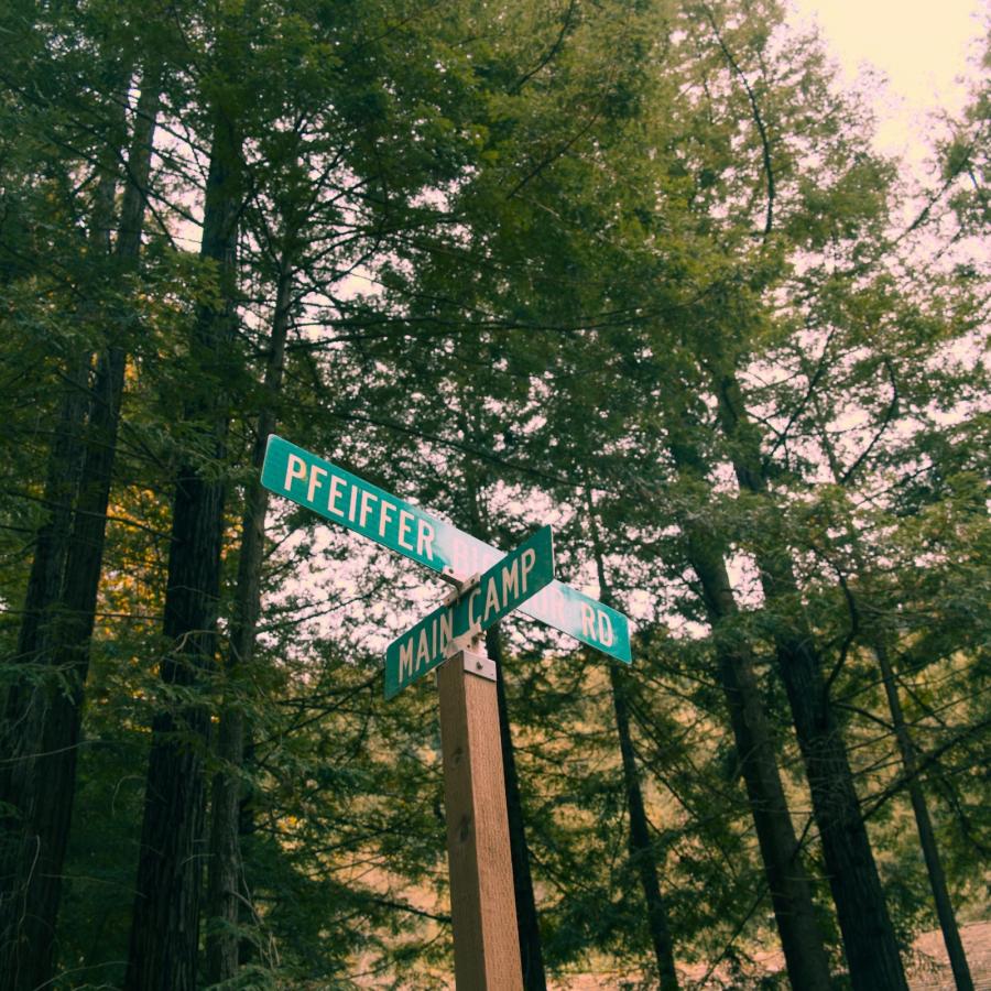 Disconnect to Reconnect: Big Sur