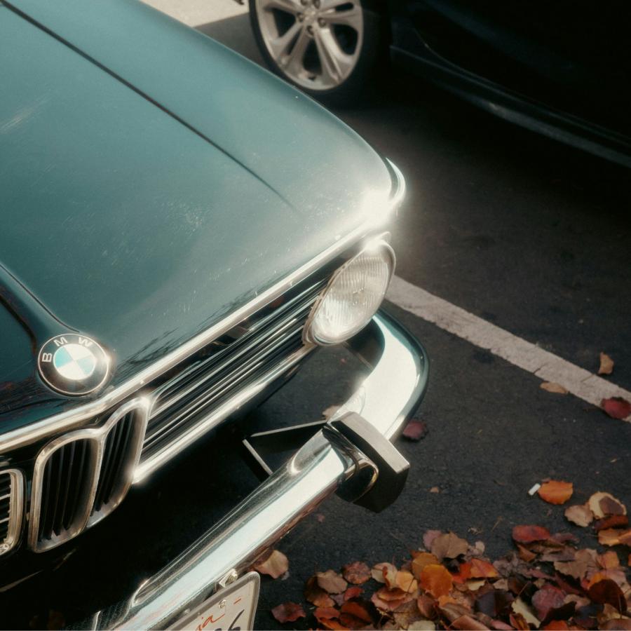 Autumn Photography Essentials: Compact Cameras and Accessories to Capture the Season