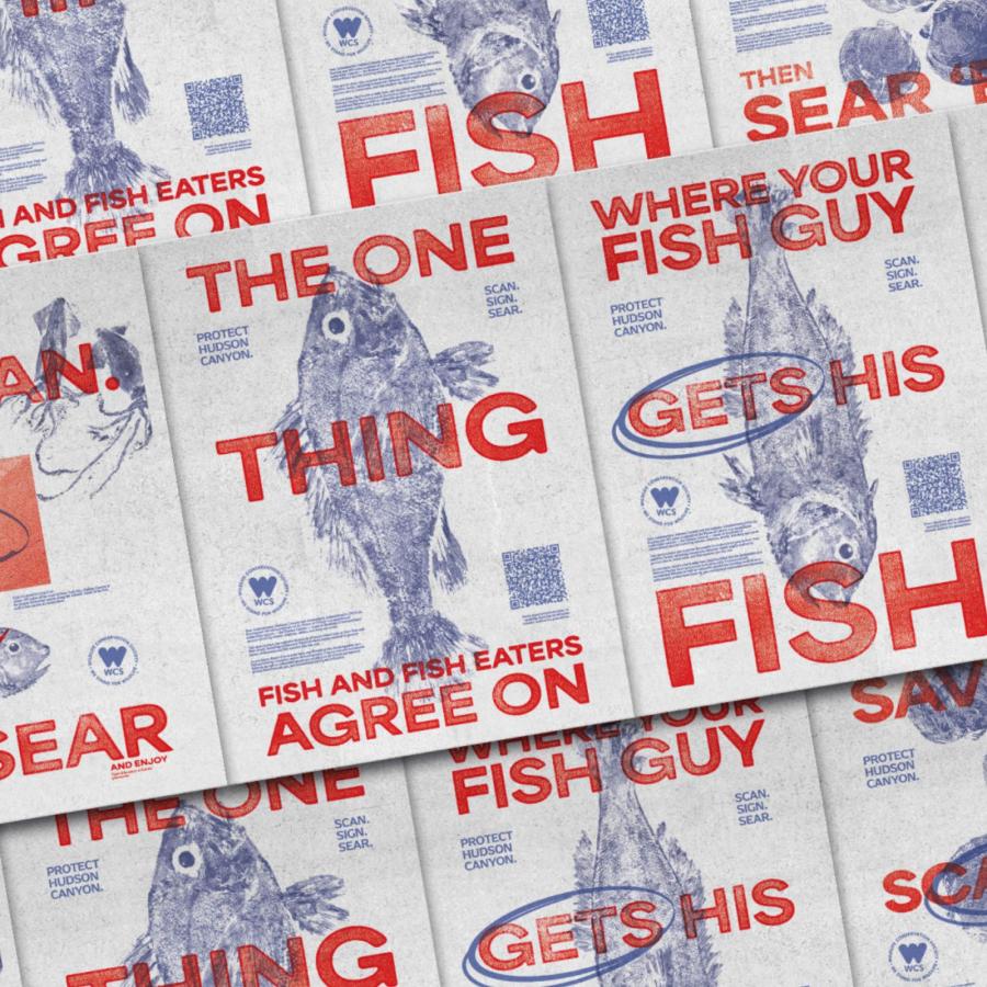 Butcher Paper, But Make It Conservation