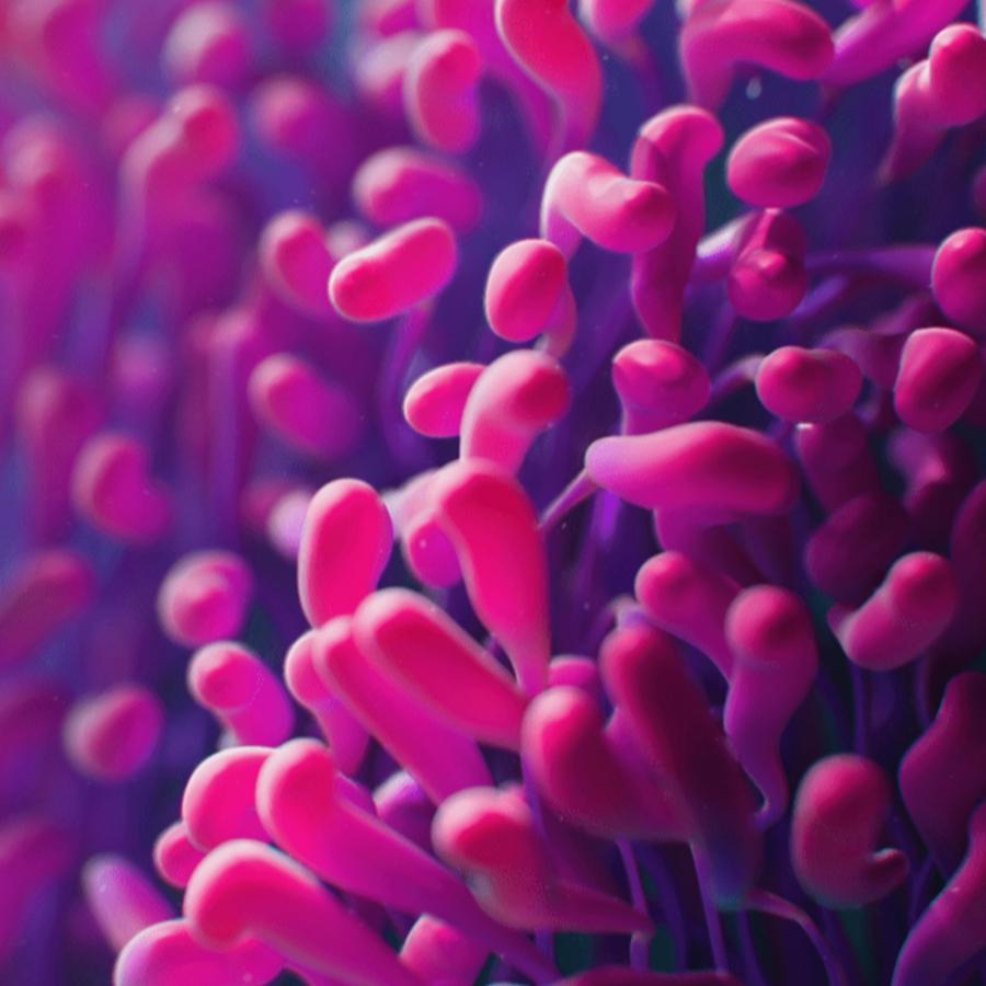 3D Houdini experimeantations for music video Mitosis