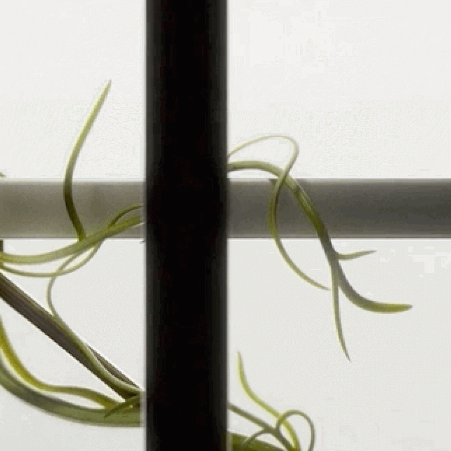 Floral Design & Illustrations Inspired by Morris