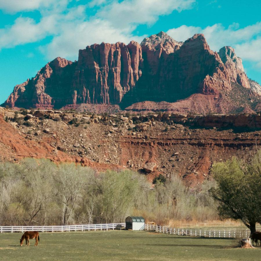 Design Meets Nature: U.S. National Parks Open Their Gates for Free on August 4