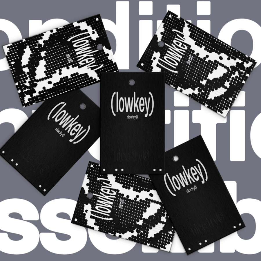 Blurring Lines: Nice Try's Branding & Variable Type