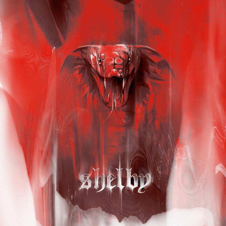 Dark Horse: Mustang Legacy in Illustration