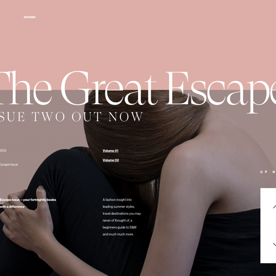 Web Design Spotlight: Tran Mau Tri Tam