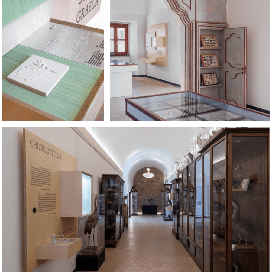 Dotdotdot reimagines Museo Minà Palumbo with inclusive design, interactive tech, and storytelling.